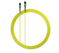 Elfcam - 30m MPO/APC vers MPO/APC 12 Fibres Monomode OS2, Polarité de Type B,30 Mètre,12 Brins