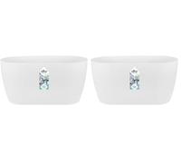 Elho Brussels Orchidée Duo 25 - Pot De Fleurs pour Intérieur - Ø 24.8 x H 12.0 cm - Blanc/Blanc (Lot de 2)