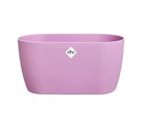 Elho Brussels Orchidée Duo 25 - Pot De Fleurs pour Intérieur - Ø 24.8 x H 12.0 cm - Violet/Violet Vif
