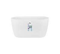 Elho Brussels Orchidée Duo 25 - Pot De Fleurs pour Intérieur - Ø 24.8 x H 12.0 cm - Blanc/Blanc