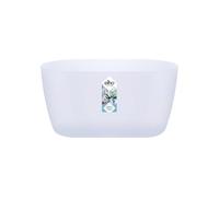 Elho Brussels Orchidée Duo 25cm Pot de Fleur - Transparent | L 13.4 x W 24.8 x H 12 cm | Convient à une Utilisation Intérieure
