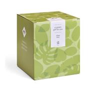 Elho Gift Vibes Fold 7,9,11,14,C 14 Pot de Fleur - Blanc Soie | Ø 7, 9, 11, 14 & 14 cm | 5 Pièces Incluses | Convient à une Utilisation Intérieure | Plastique 100% recyclé