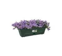 Elho Green Basics Balconnière Allin1 70 - Planteur pour Balcon & Extérieur - Ø 68.5 x H 16.5 cm - Vert/Leaf Green