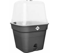 ELHO Green Basics growpot square all-in-1 35 cm , noir