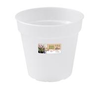 Elho Pot De Fleurs Orchidées Provence 15cm Multicolore