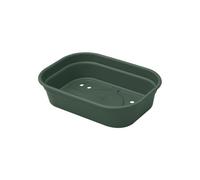 Elho Green Basics Plateau De Culture 24 - Accessoires pour Intérieur, Extérieur, Culture & Récolte - Ø 24.0 x H 6.0 cm - Vert/Leaf Green