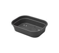 Elho Green Basics Plateau De Culture 24 - Accessoires pour Intérieur, Extérieur, Culture & Récolte - Ø 24.0 x H 6.0 cm - Noir/Living Noir