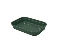 Elho Green Basics Plateau De Culture 36 - Accessoires pour Intérieur, Extérieur, Culture & Récolte - Ø 36.0 x H 6.3 cm - Vert/Leaf Green