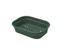 Elho Plateau de culture Green Basics 24 – Ø 24 x H 6 cm – Vert
