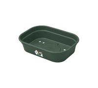 Elho Green Basics Plateau De Culture S - Leaf Green | L 17 x W 24 x H 6 cm | Convient pour une Utilisation Intérieure et Extérieure