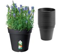 Elho Green Basics Pot Culture 15 | Lot de 20 Pots de Fleurs - Living Noir