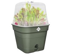 Elho Green Basics Pot De Culture Carré Allin1 15 - Pot De Fleurs pour Culture & Récolte - Ø 15.0 x H 12.1 cm - Vert/Leaf Green