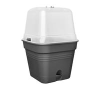 Elho Green Basics Pot De Culture Carré Allin1 20 - Pot De Fleurs pour Culture & Récolte - Ø 19.5 x H 16.5 cm - Noir/Living Noir