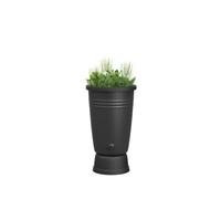 Récupérateur d'eau de pluie 110L Elho coloris noir Ø.31,1 x H.80,4 cm