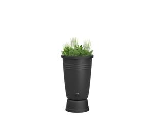 Elho Green Basics Récupérateur d'eau Plus 110LTR - Récupérateur D’Eau De Pluie pour Culture & Récolte - Ø 58.4 x H 80.4 cm - Noir/Living Noir