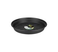 Elho Green Basics Soucoupe 25 - Soucoupe pour Intérieur, Extérieur, Culture & Récolte - Ø 25.5 x H 3.6 cm - Noir/Living Noir