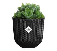 Elho Jazz Rond Mini 11cm - Petit Pot de Fleurs pour Intérieur - Plastique 100% Recyclé - Ø 11.1 x H 10.3 cm - Noir/Living Noir