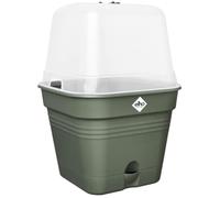 ELHO Pot de culture Carré GREEN BASICS - Plastique - Réservoir - 19,5 x 19,5 x H 16,5 cm - Leaf Green