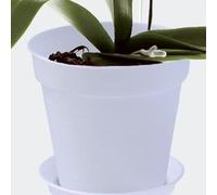 Elho Pot De Fleurs Orchidées Provence 15cm Multicolore