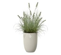 Elho Sereh High 30 - Pot de Fleur - Interieur & Extérieur - Plastique 100% Recyclé - Ø 29.5 x H 40.5 cm - Beige/Beige Champignon
