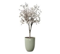 Elho Sereh High 40 - Pot de Fleur - Interieur & Extérieur - Plastique 100% Recyclé - Ø 39 x H 53.4 cm - Vert/Vert Scandinave