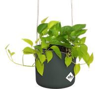 Elho B.for Swing 18 - Pot De Fleurs pour Intérieur - Plastique 100% recyclé - Ø 18.0 x H 16.5 cm - Vert/Leaf Green