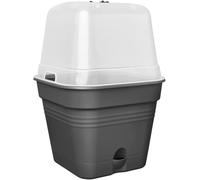 Elho Vaso Da Coltura Green Basics Growpot Carré Allin1 15Cm Living Noir