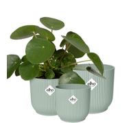 elho Lot de 3 VIBES FOLD Ronds Vert Sorbet - 14 cm, 16 cm, 18 cm - 1 kit