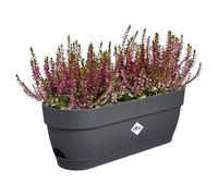 Elho Vibia Campana Balconnière 50 - Planteur pour Balcon - Ø 49.0 x H 17.0 cm - Noir/Anthracite