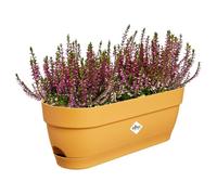 Elho Vibia Campana Balconnière 50 - Planteur pour Balcon - Ø 49.0 x H 17.0 cm - Jaune Miel