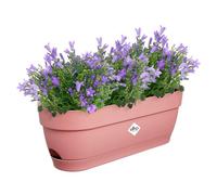 Elho Vibia Campana Balconnière 50 - Planteur pour Balcon - Ø 49.0 x H 17.0 cm - Rose/Rose Poussière