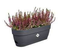 Elho Vibia Campana Balconnière 50 - Planteur pour Balcon - Ø 49.0 x H 17.0 cm - Noir/Anthracite