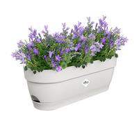 Elho Vibia Campana balconnière 50cm Pot de Fleurs - Blanc Soie