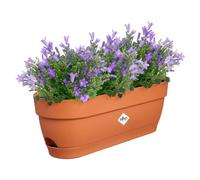 Elho Vibia Campana balconnière 50cm Pot de Fleurs - Terre Cuite