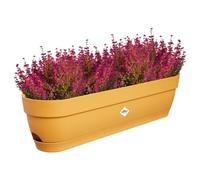 Elho Planteur pour balcon Vibia Campana 70 - Ø 69 x H 17 cm - Jaune/Jaune miel
