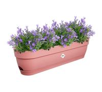 Elho Vibia Campana Balconnière 70 - Planteur pour Balcon - Ø 69.0 x H 17.0 cm - Rose/Rose Poussière