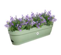 Elho Vibia Campana Balconnière 70 - Planteur pour Balcon - Ø 69.0 x H 17.0 cm - Vert/Vert Pistache