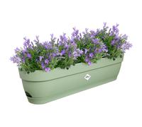 Elho Planteur pour balcon Vibia Campana 70 – Ø 69.0 x H 17.0 cm – Vert/Vert Pistache