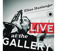 Elias Haslanger - Live at The Gallery