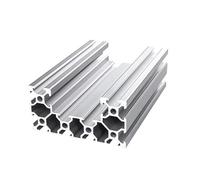ELILANEY Profilé en aluminium 4080U 40 x 80 mm, type V, cadre d'extrusion linéaire for support de clôture industrielle, ligne d'assemblage, établi Support bord(Silver,250mm long)