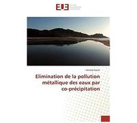 Elimination De La Pollution Métallique Des Eaux Par Co-Précipitation