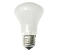 ELINCHROM LAMPE PILOTE 100W 196V E27