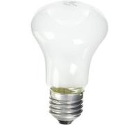 ELINCHROM lampe pilote 100W 196V pour torche D-lite G