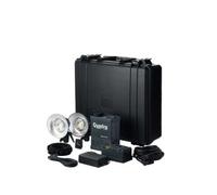 Elinchrom Ranger Quadra RX-AS Pro Set S Kit avec générateur, Batterie, câble synchrone, Chargeur, Sangle et Torche