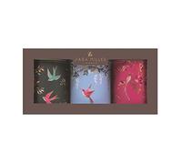 Elite tins Sara Miller Chelsea SM2992 Lot de 3 boîtes rondes en étain
