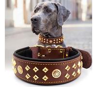 EliteGuard Collier pour chien en cuir, 5,6 cm de large, fait à la main, avec rivets et boucle en acier inoxydable, pour un usage quotidien pour les grands chiens, marron-doré, 54,5 à 65 cm