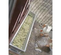 Elitix Mangeoires pour Porcs Mangeoire Métallique Étanche pour Cochons D'élevage, Mangeoire à Foin pour Grands Animaux, Chiens de Garde, Alpagas, Mangeoire pour Bétail.(with Stand,39.3in(3.3ft))