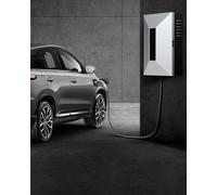 Elitix Wallbox Boîtier de Protection pour Chargeur de Véhicule Électrique Tesla, Toutes Saisons, Socle de Borne de Recharge Verrouillable, Boîtier de Levier(Box)