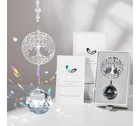 Elivida Cadeau de condoléances moderne pour la perte de vos proches, motif arbre de vie, idée cadeau de deuil, attrape-soleil, commémoratif en cristal de 40 mm