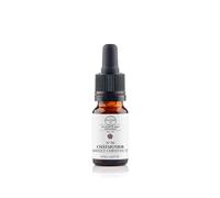 Elixir Châtaignier n°30 BIO - Angoisse et désespoir - Remède naturel aux fleurs de bach 10mL - Elixirs & Co - Complément alimentaire compte gouttes 100% Naturel - Fabriqué en France